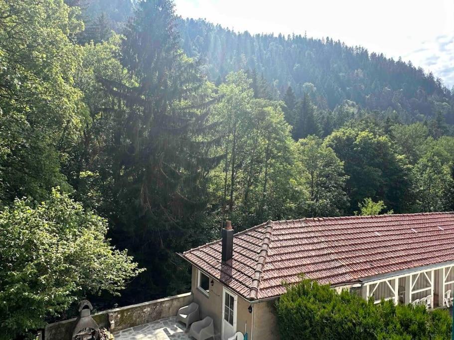 Вілла Maison Chaleureuse Avec Cheminee Bord De Riviere Жерарме Екстер'єр фото